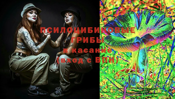 бошки Абаза
