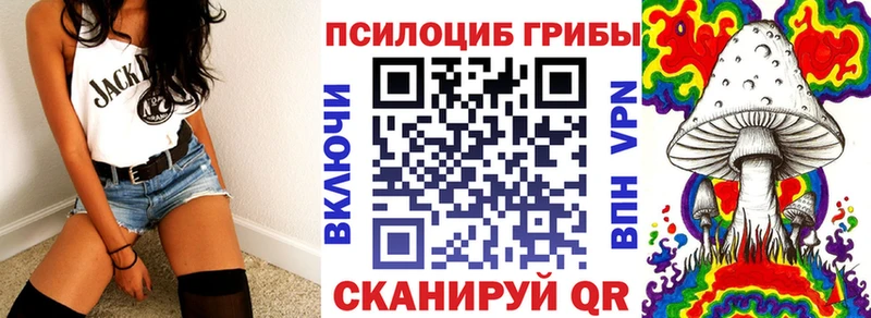 Псилоцибиновые грибы GOLDEN TEACHER Туапсе