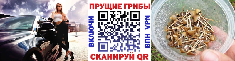 Псилоцибиновые грибы Cubensis  гидра ссылки  Туапсе 