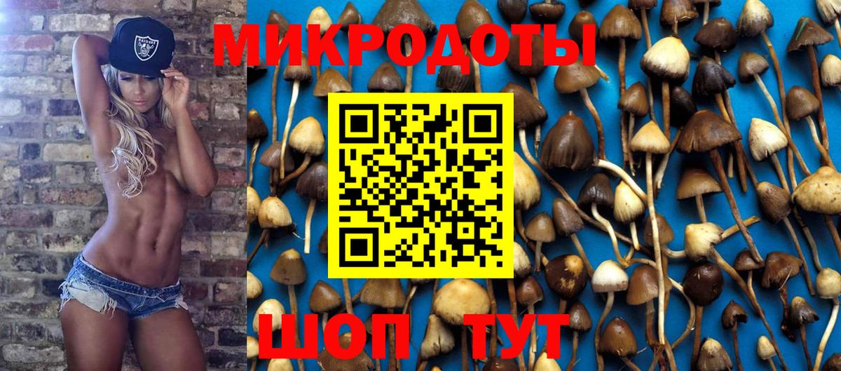 Туапсе  Псилоцибиновые грибы мицелий  Вход с VPN 